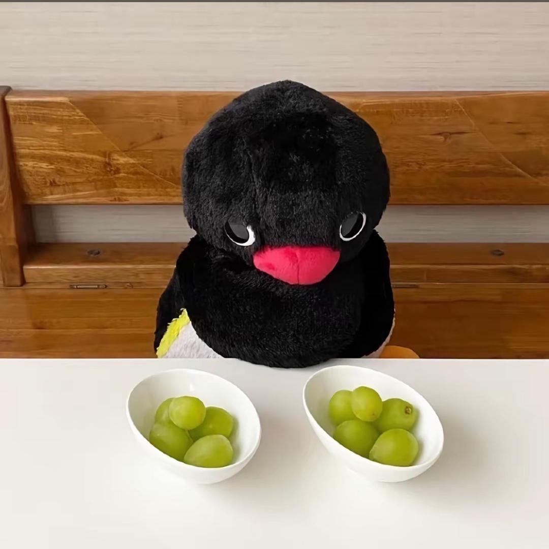 pingu🐧