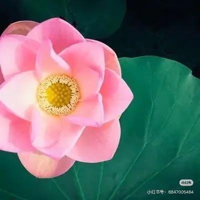 常回家看看