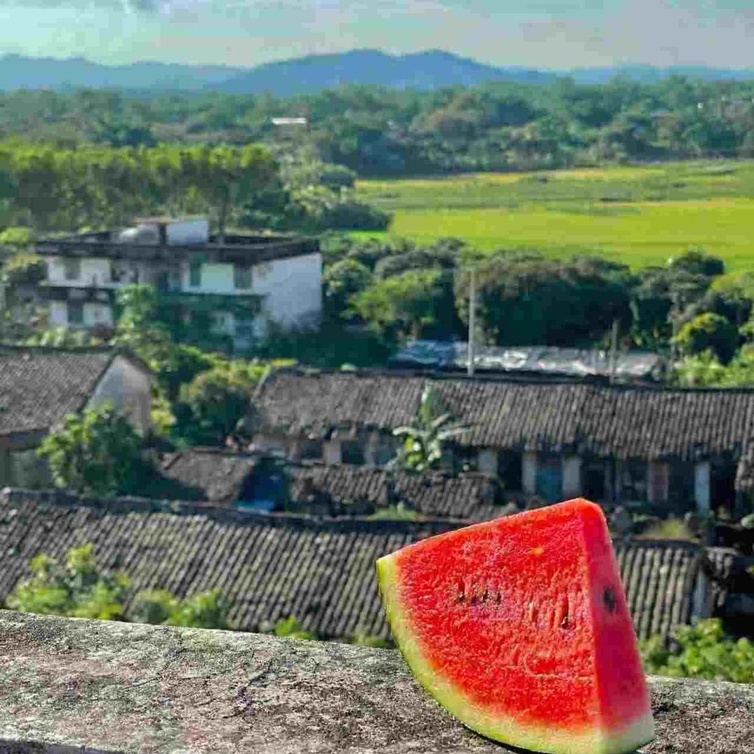 薇熏一夏