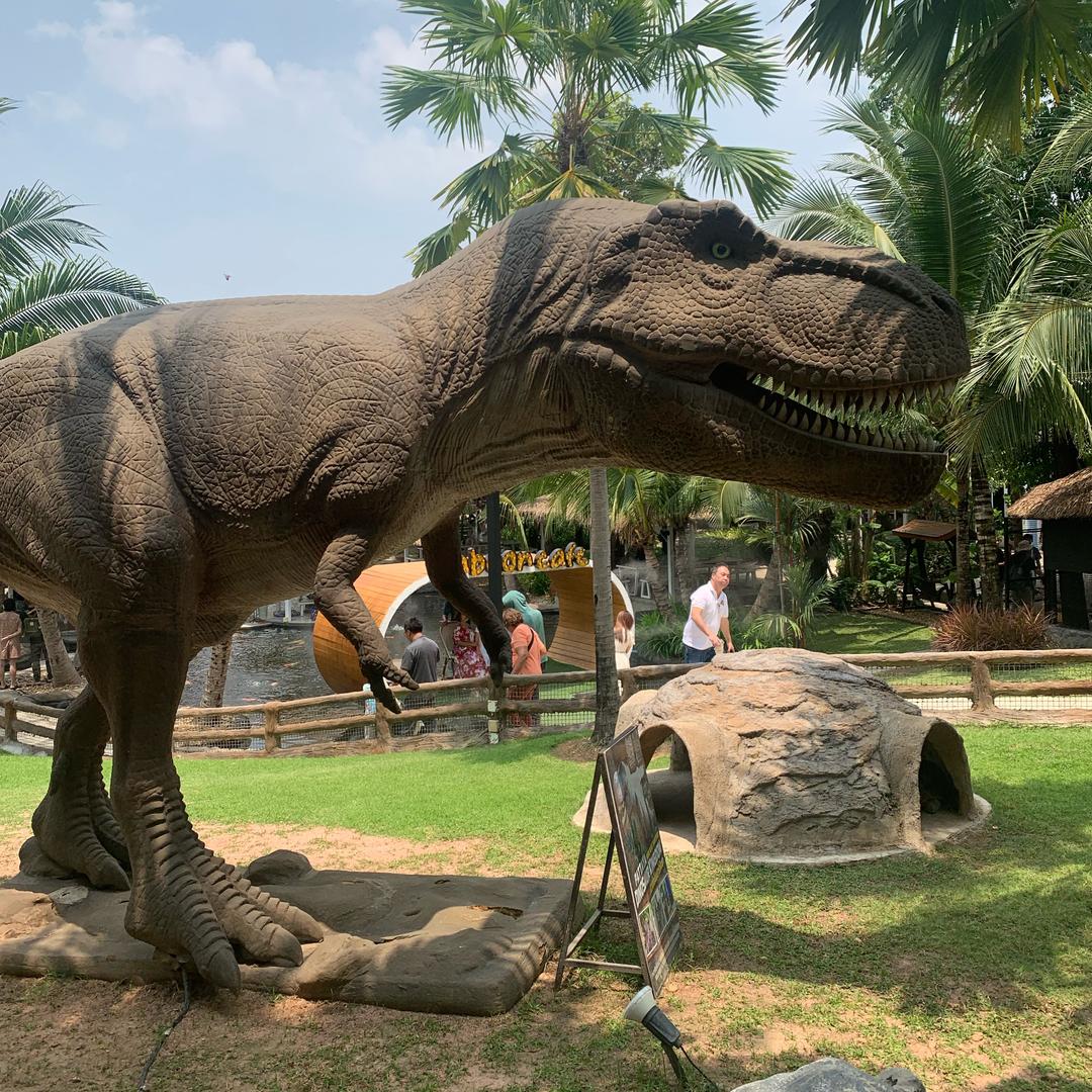 爱吃西瓜的番茄🍅