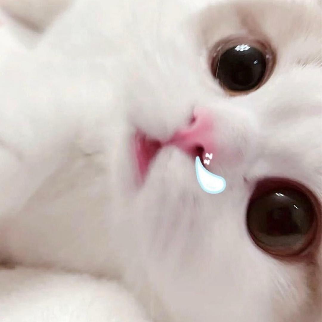 缘分