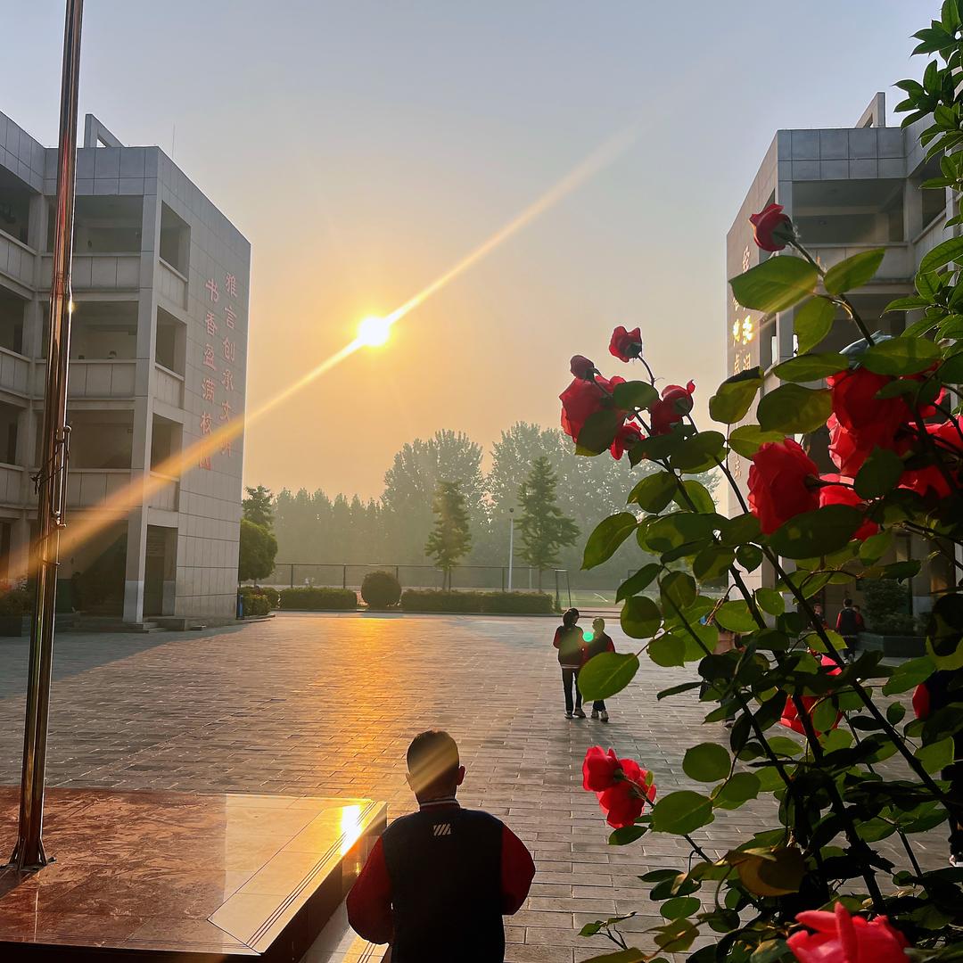 朝花夕拾✨✨✨