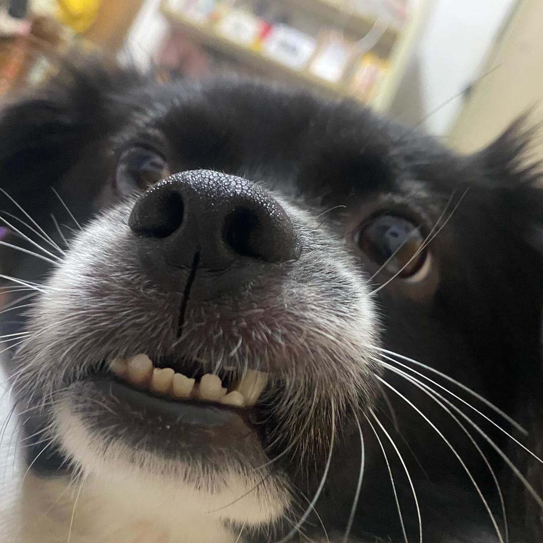 走