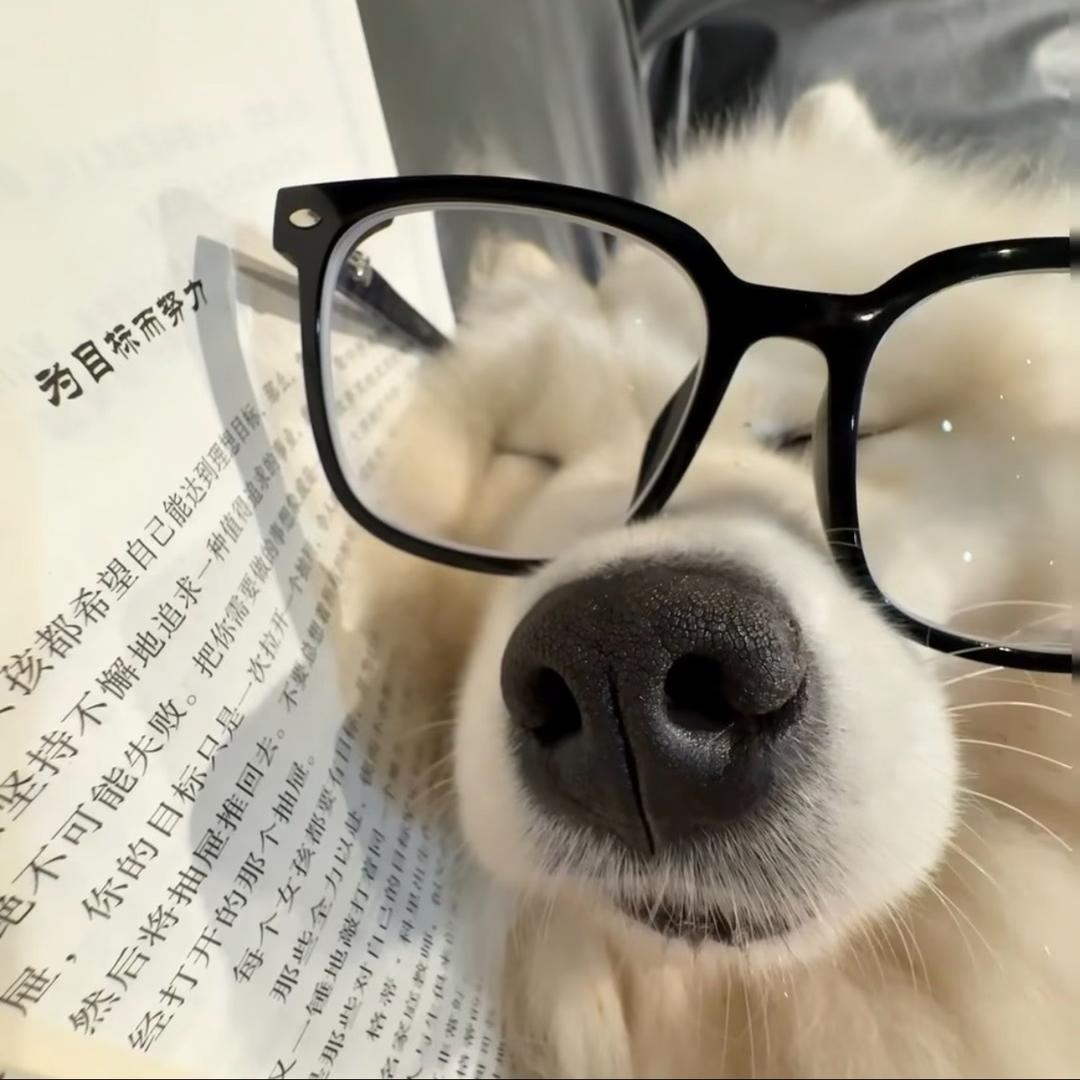 阿辰