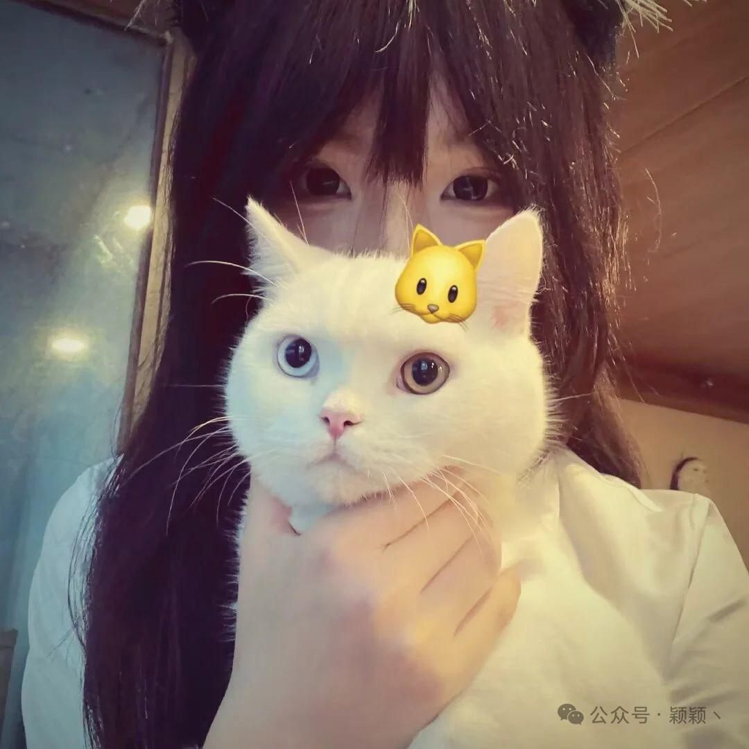 花泽类