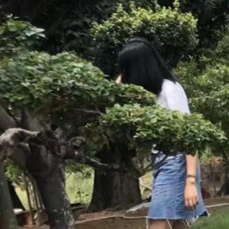 家居(橱柜定制)