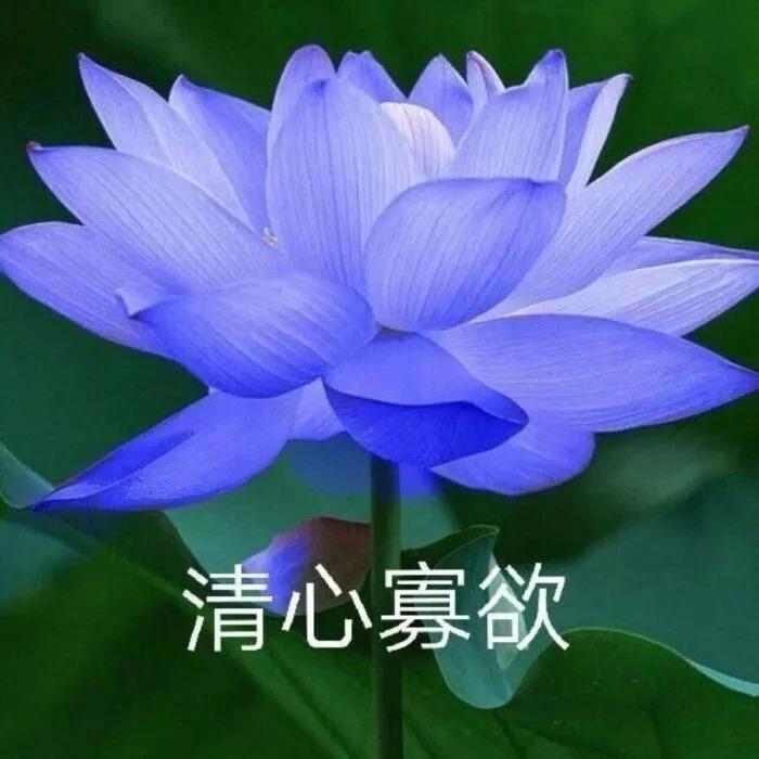 今是而昨非