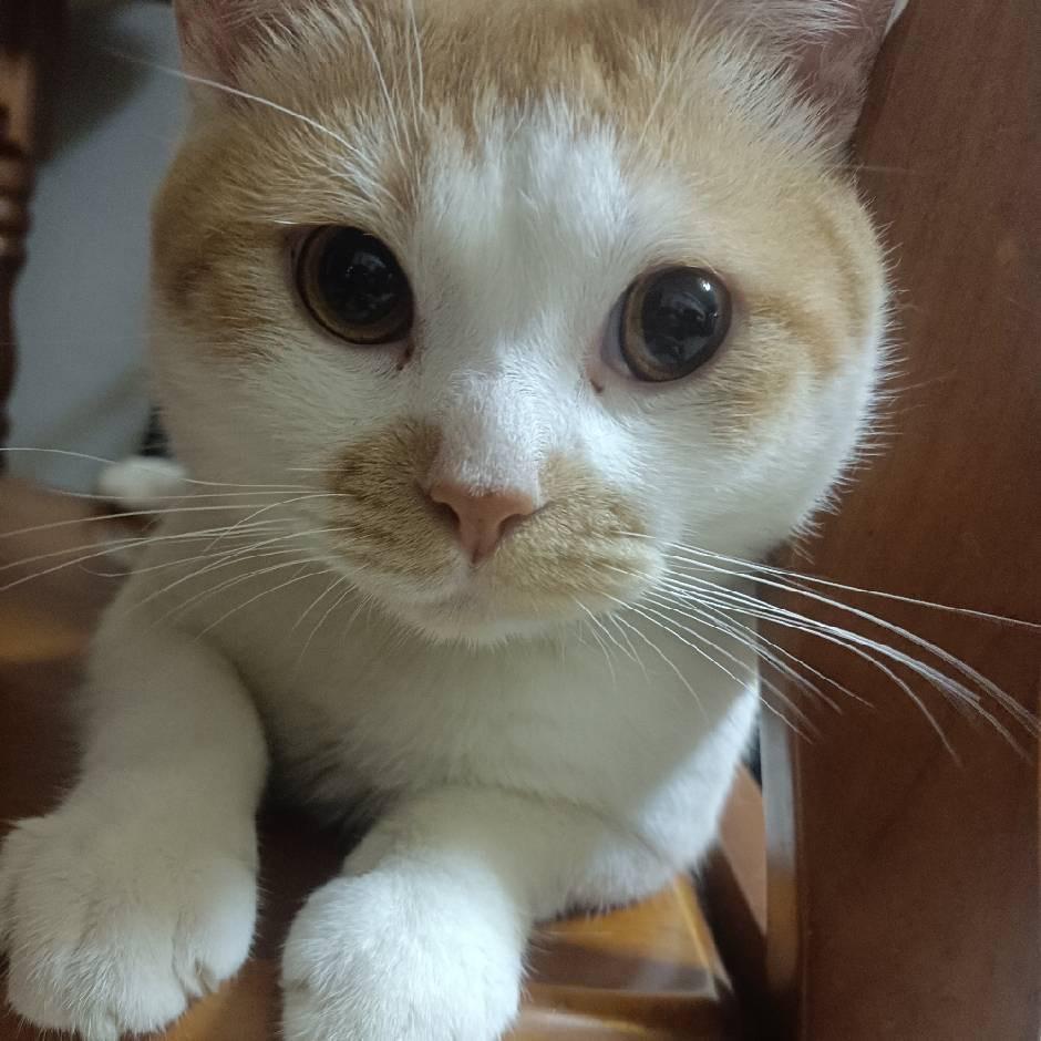 千千默默