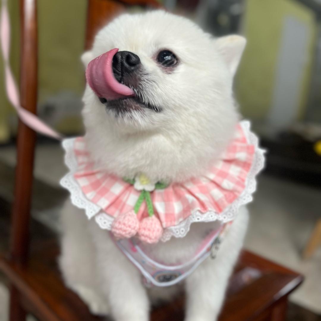 坦荡荡