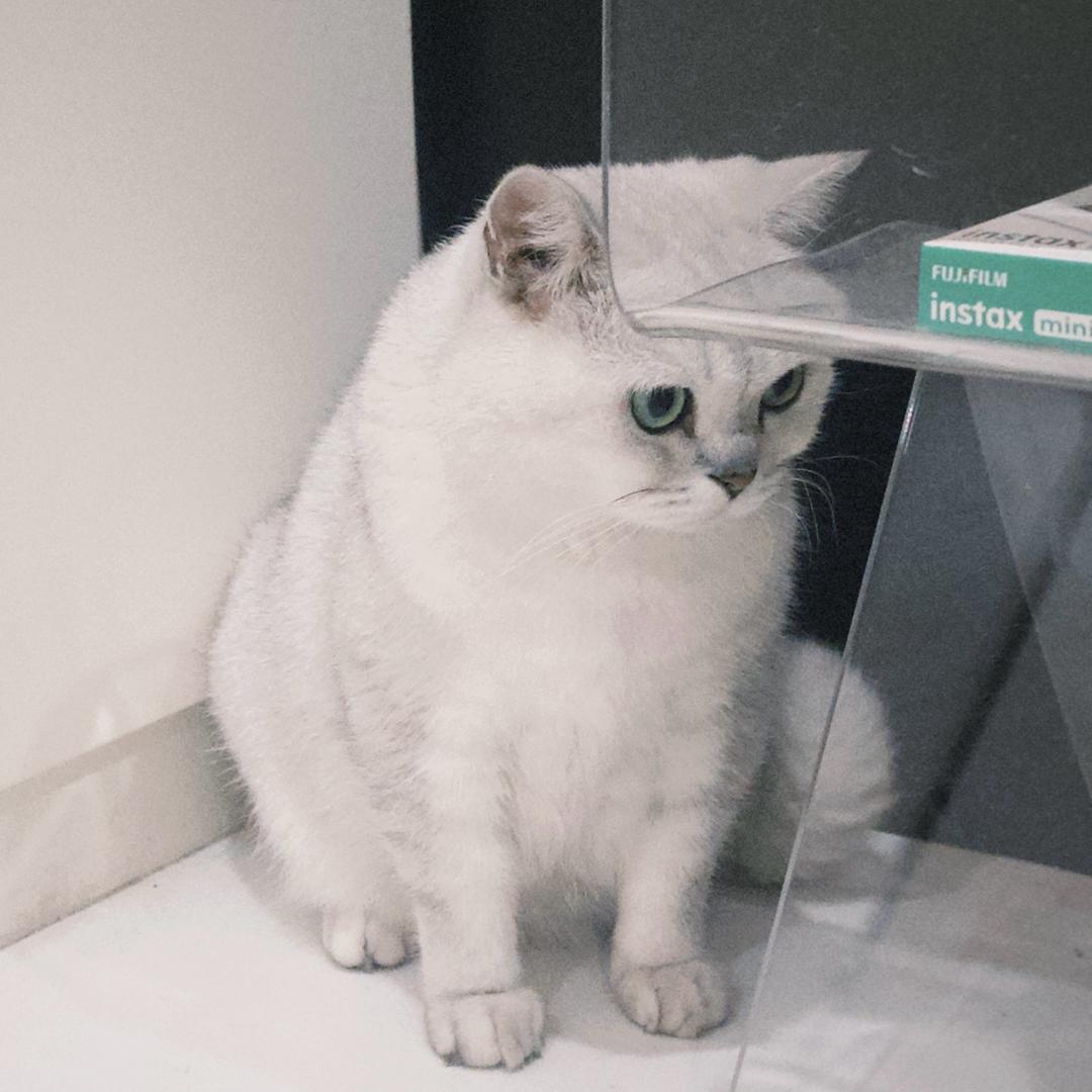 牛逼啊菜