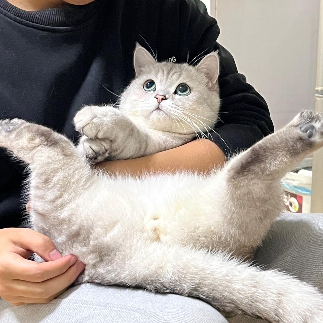 去码头造个别墅