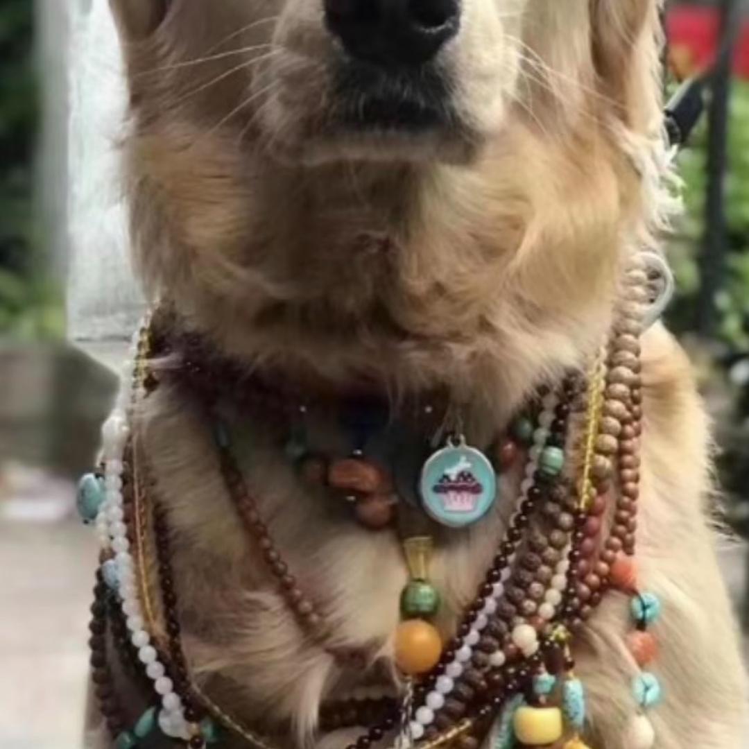 YoYo商贸行杂货铺