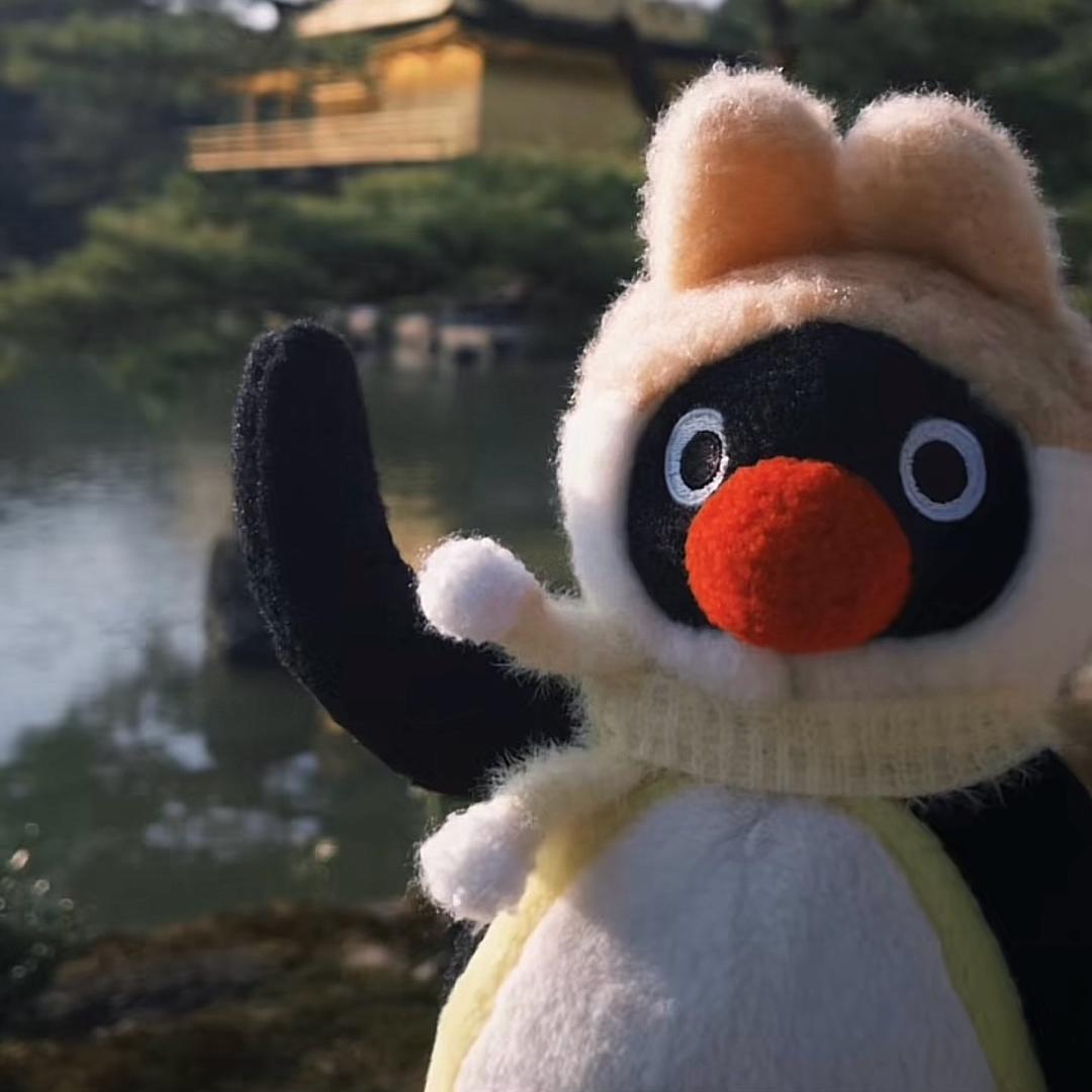 土豆-