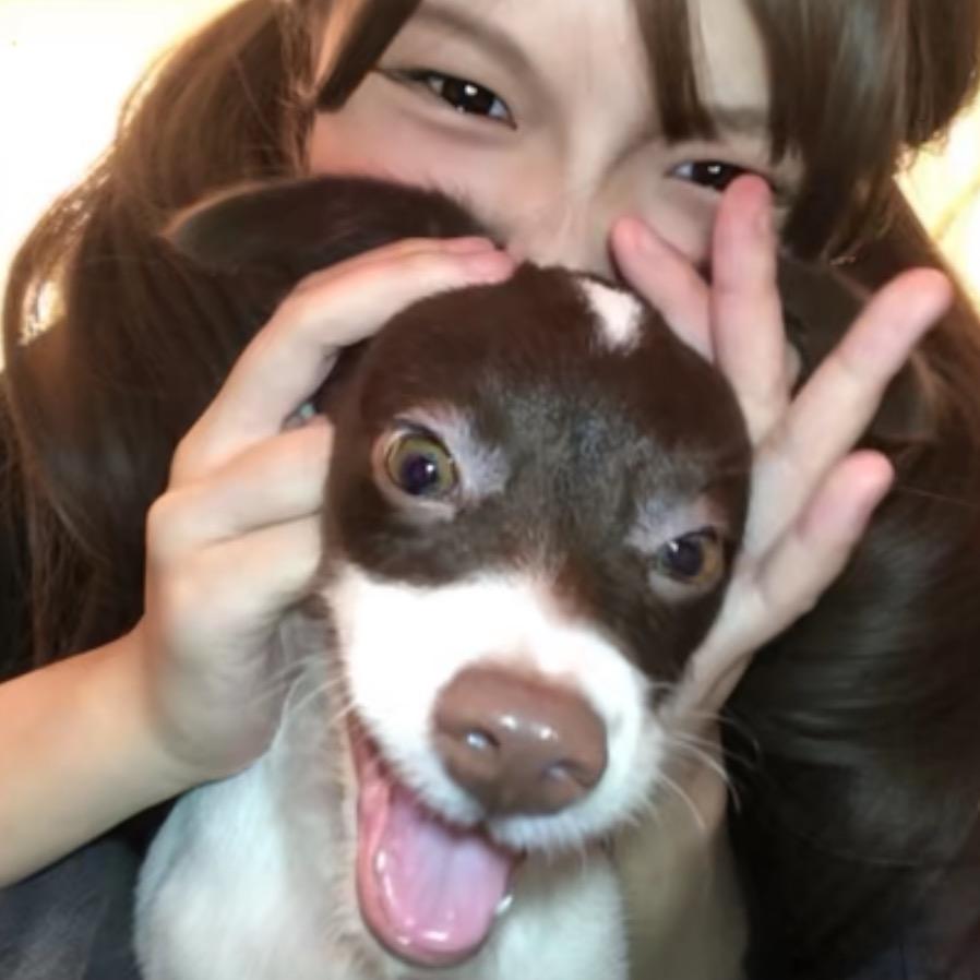 爱哭的蛋挞