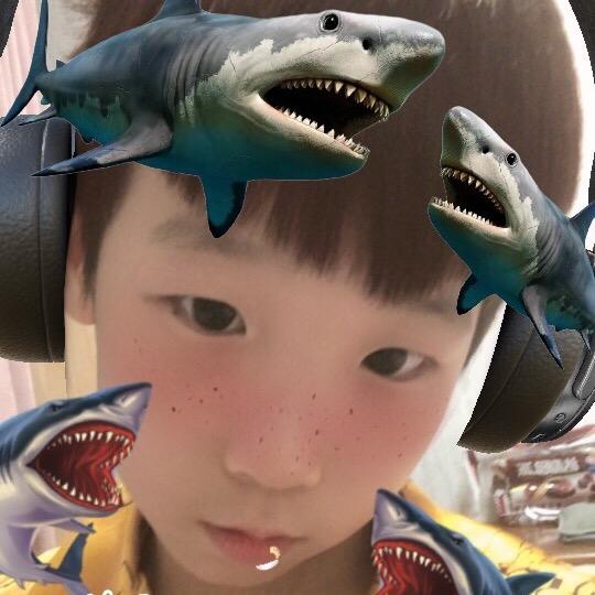 不爱跳舞的泽泽