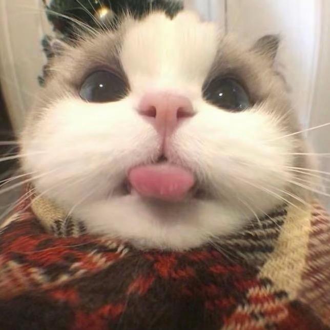 Gin-