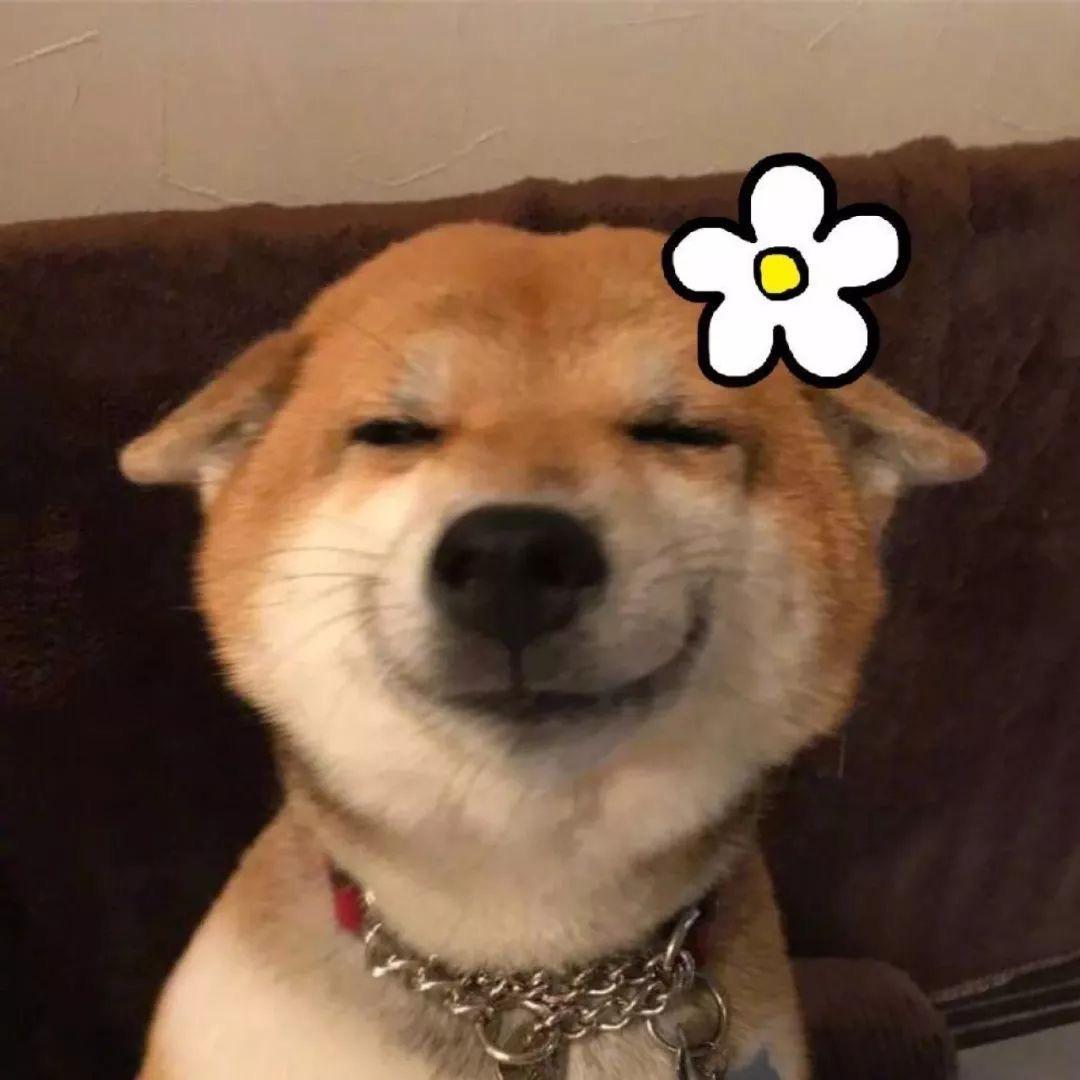 包头潮集社盲盒