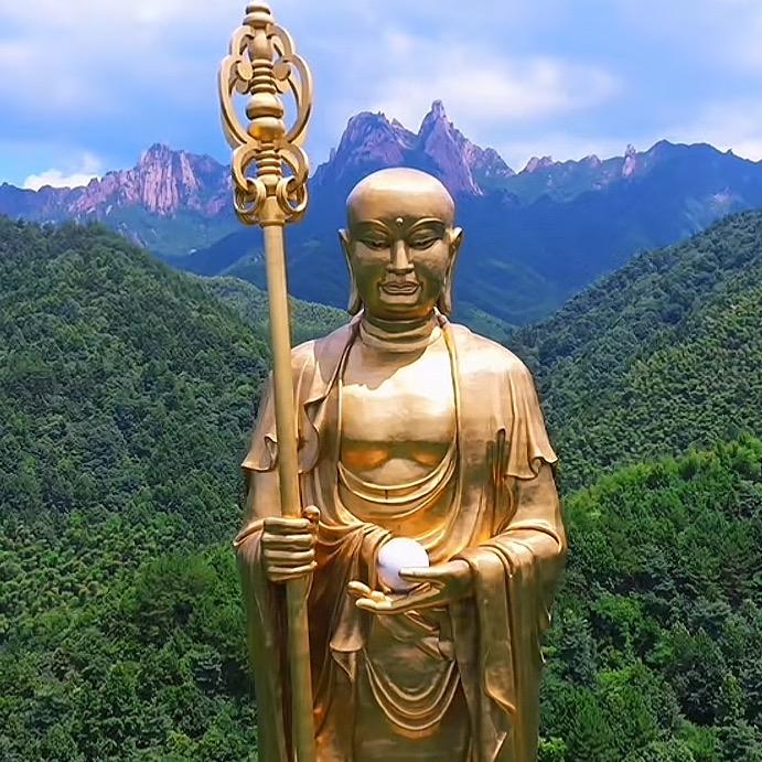 三青鸟九华山本地黄精