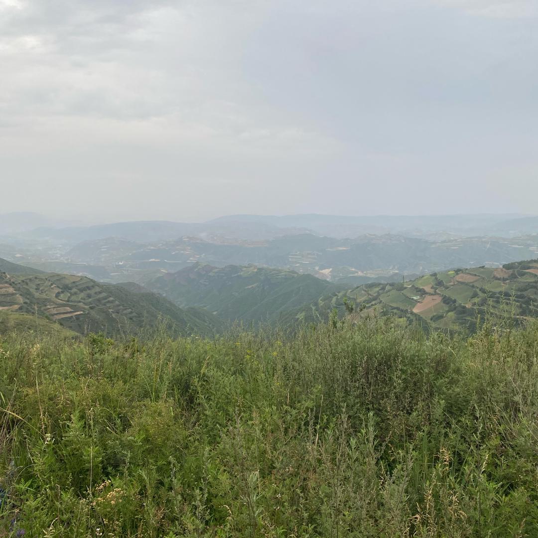 加油吧、少年。