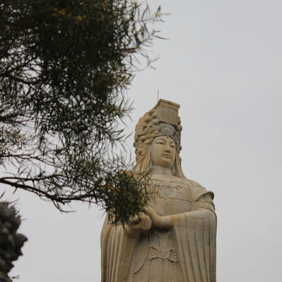 不会剪辑的博主