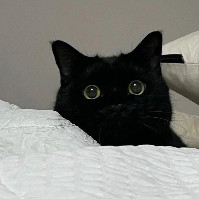 Cc