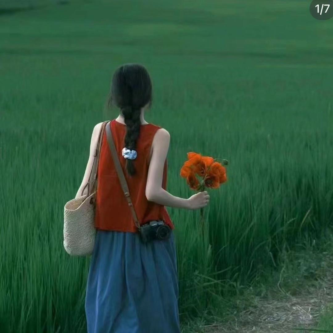 橘子海棠