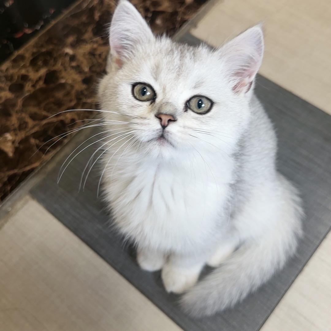 等待 💔 💔 2037