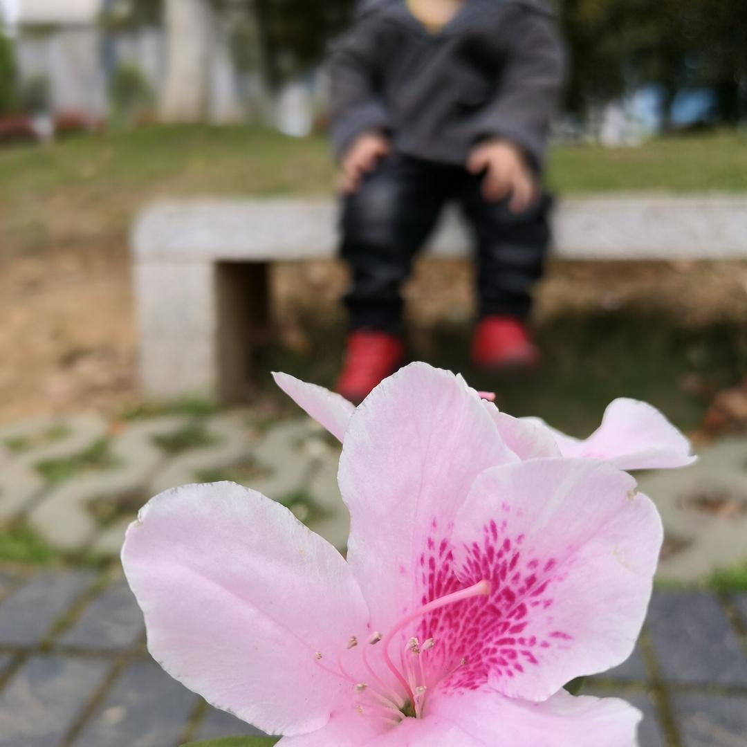 清风明月