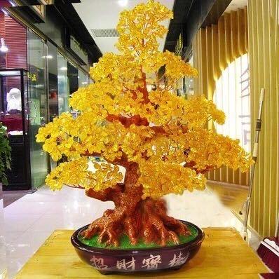 快乐