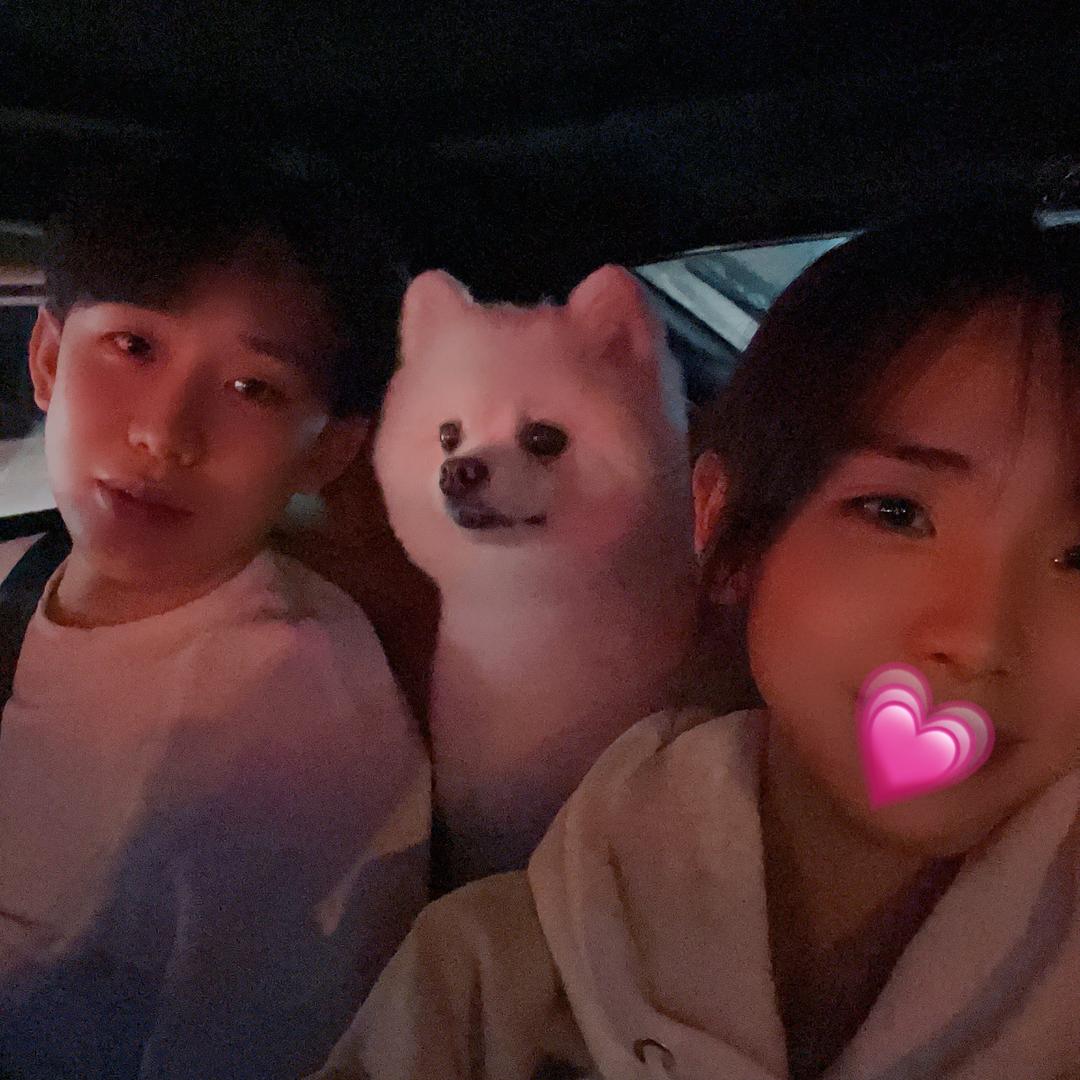 强桑带叶桑想暴富🌟