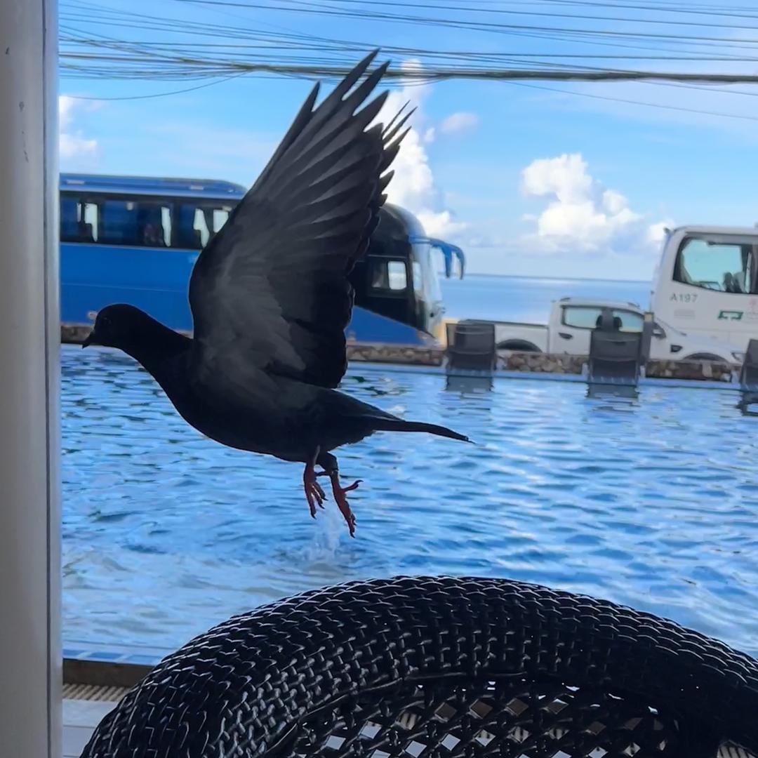 小困包ᥫᩣ