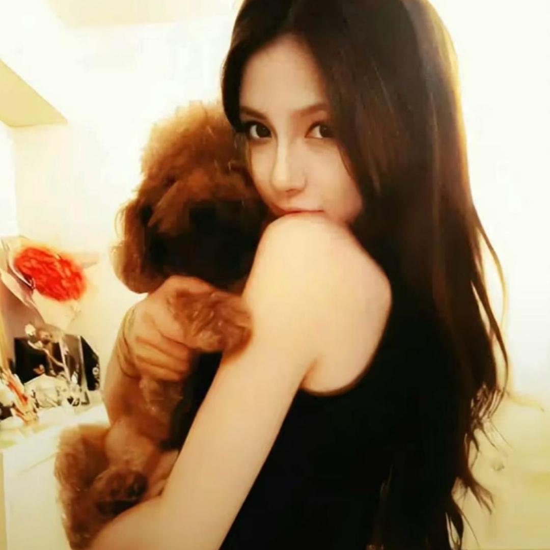 和人类无法交流