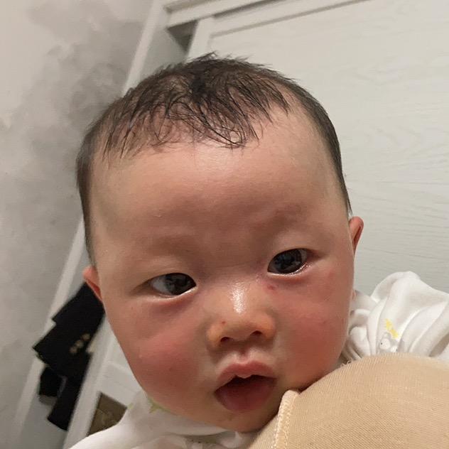 毛楠