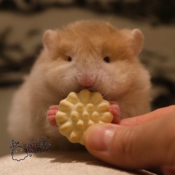抠抠抠抠鼻！