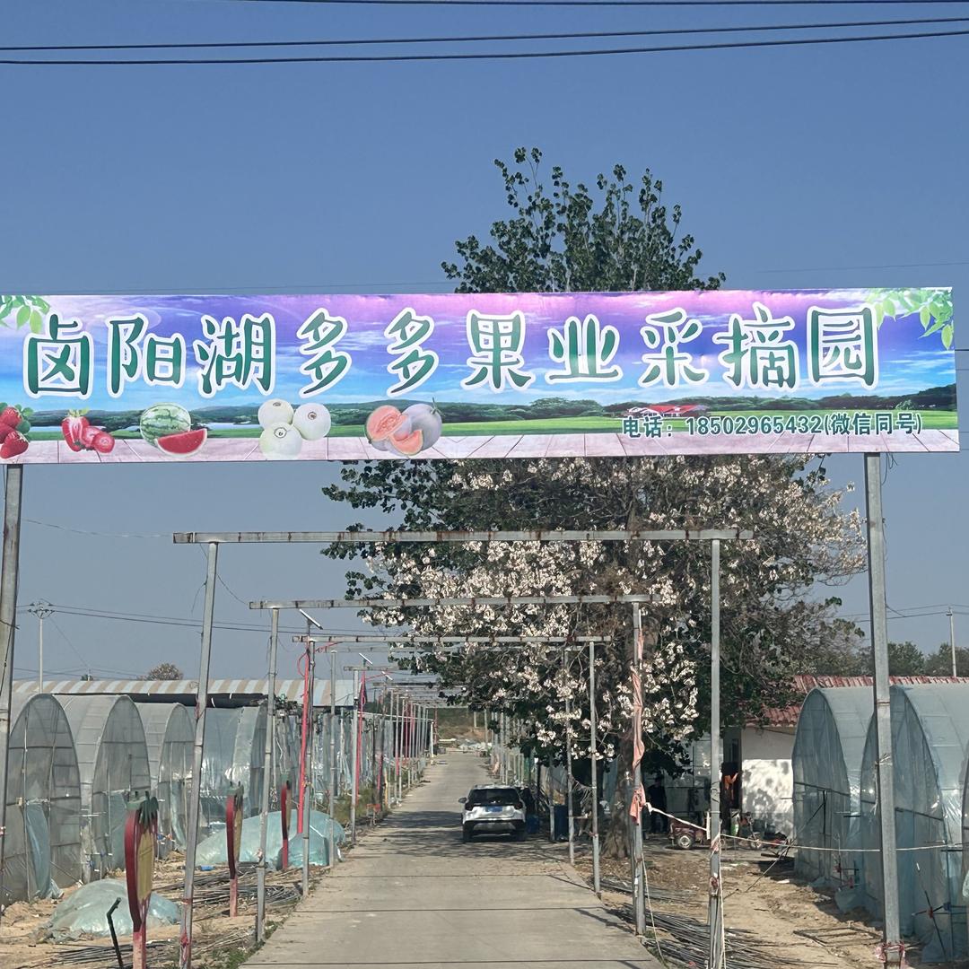 多多果业