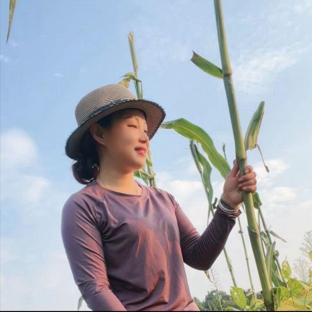 那个笨女人菜菜