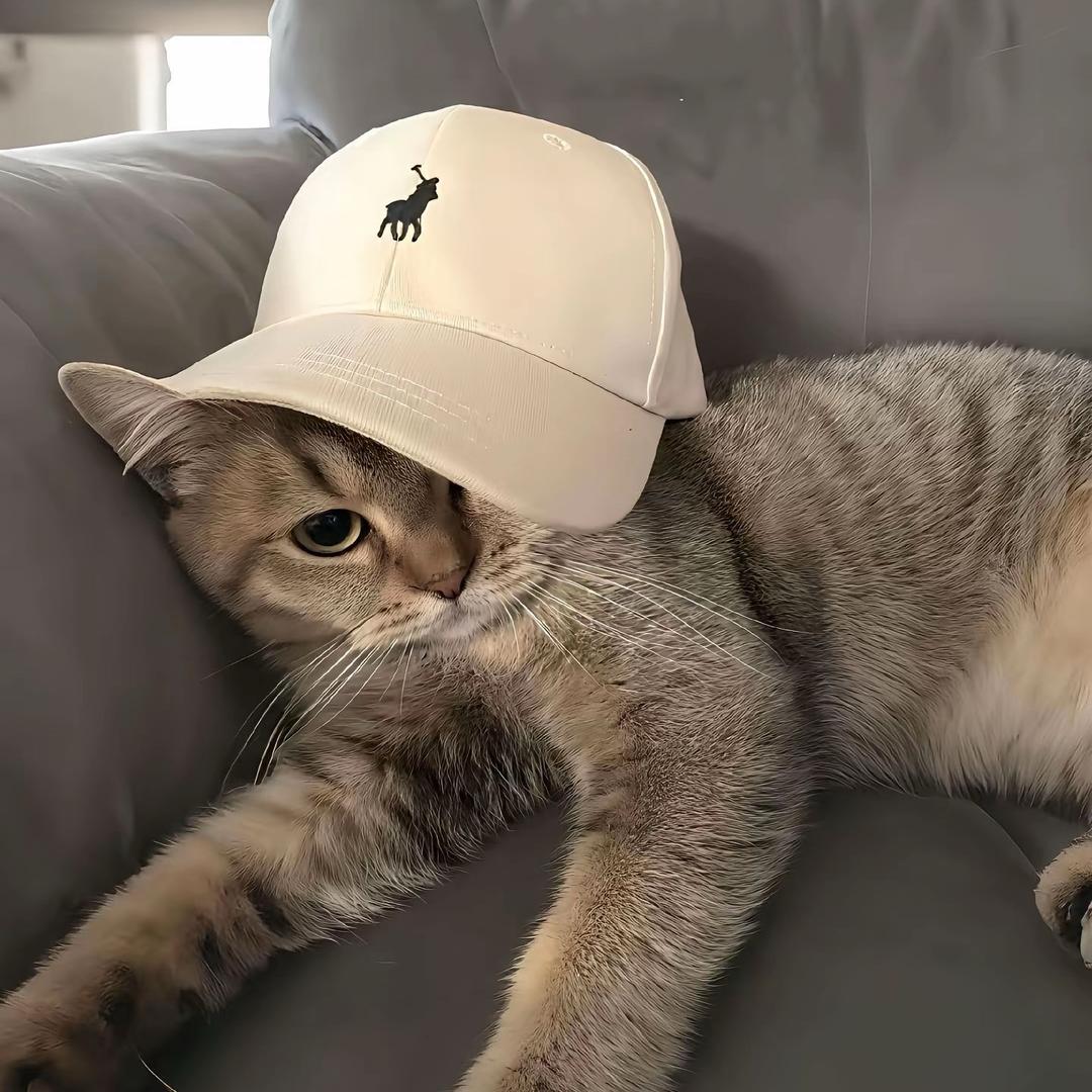 致两千年前的你