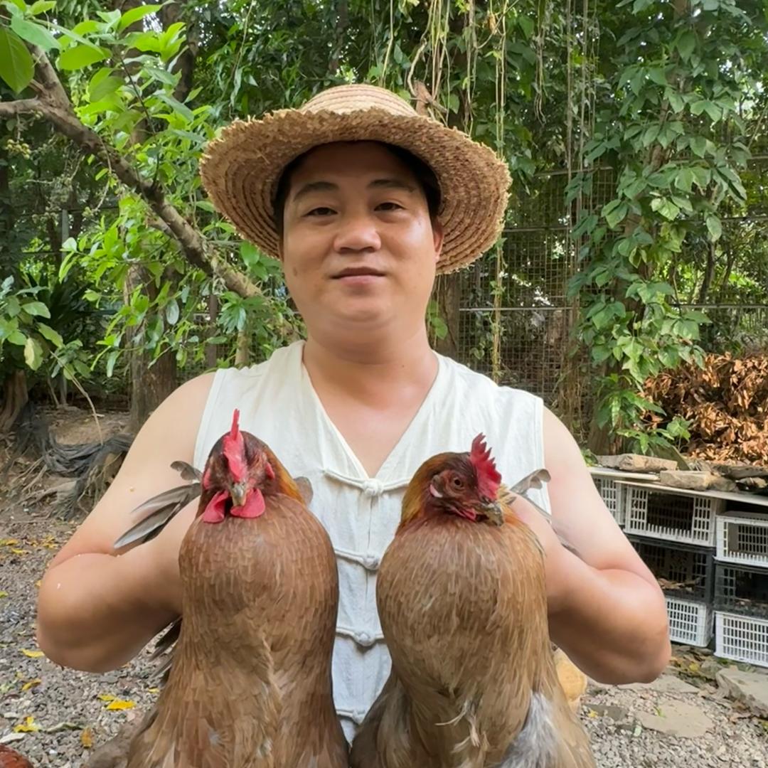 大壮农场