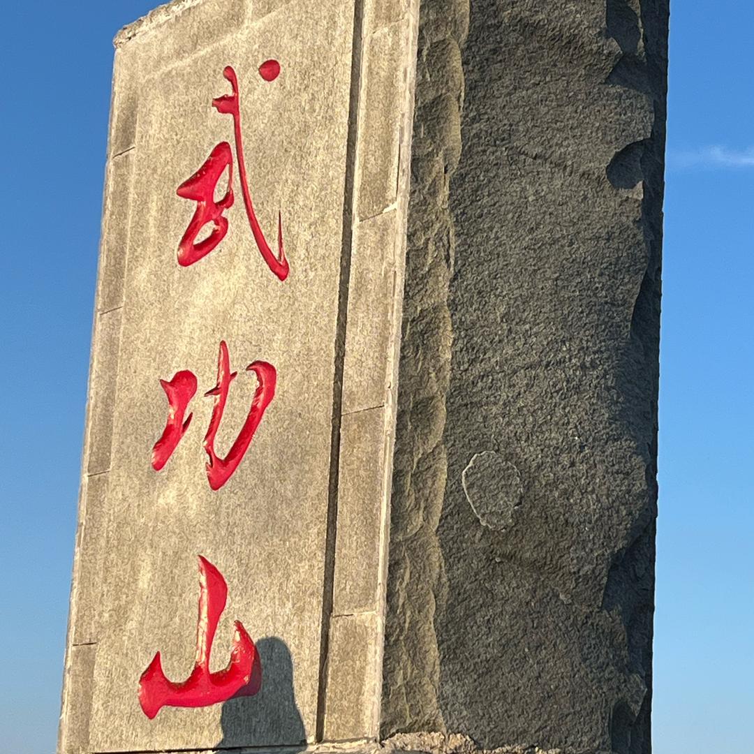 鱼