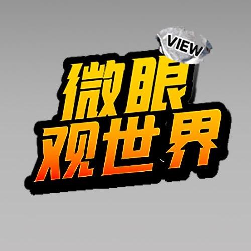 微眼观视界