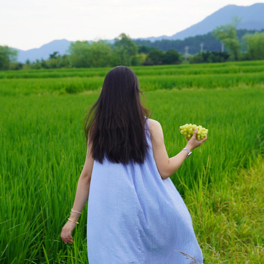 天早灰蓝
