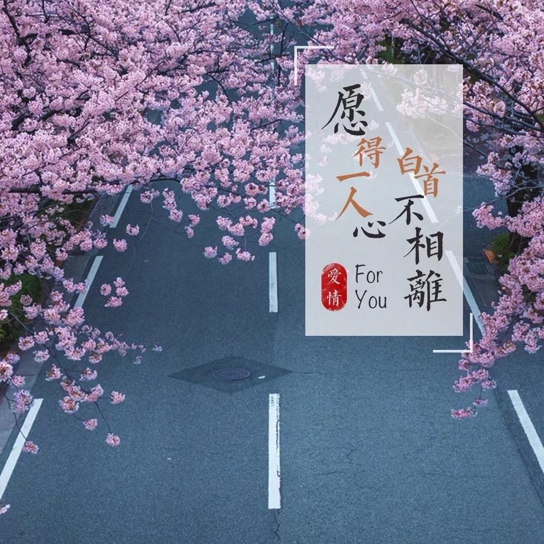 青春