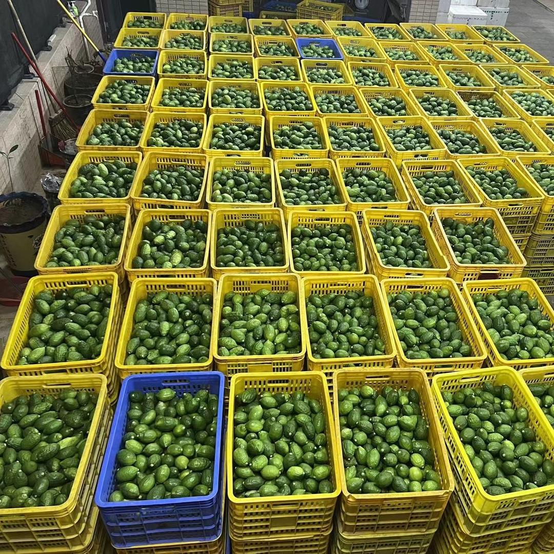 香水柠檬杂货铺
