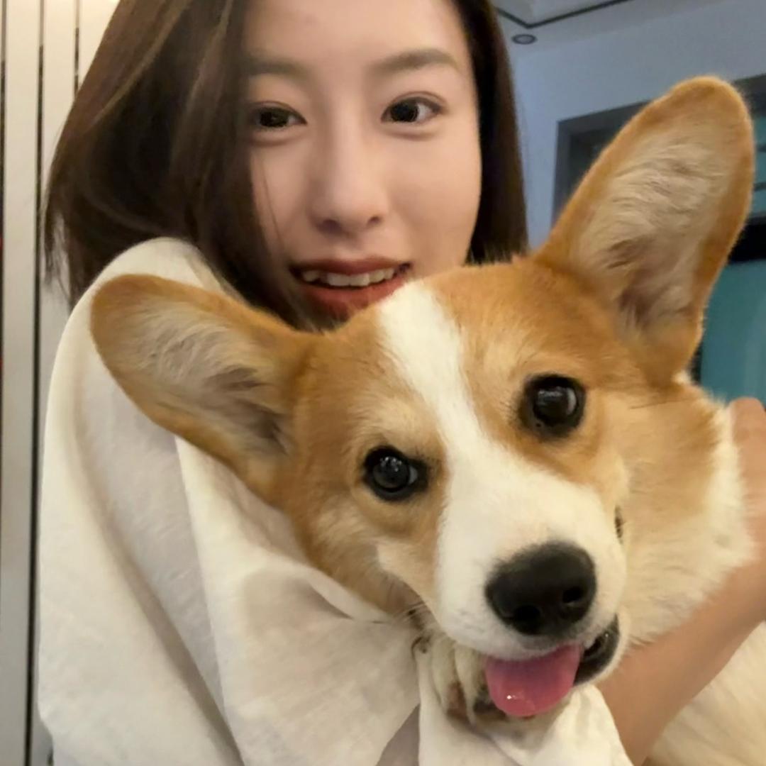 养乐多