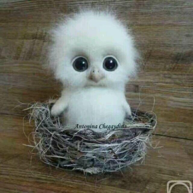 @小幸运