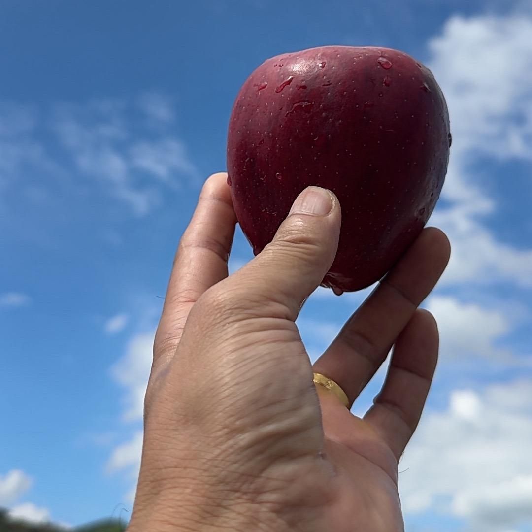 🍏亿晨🍏