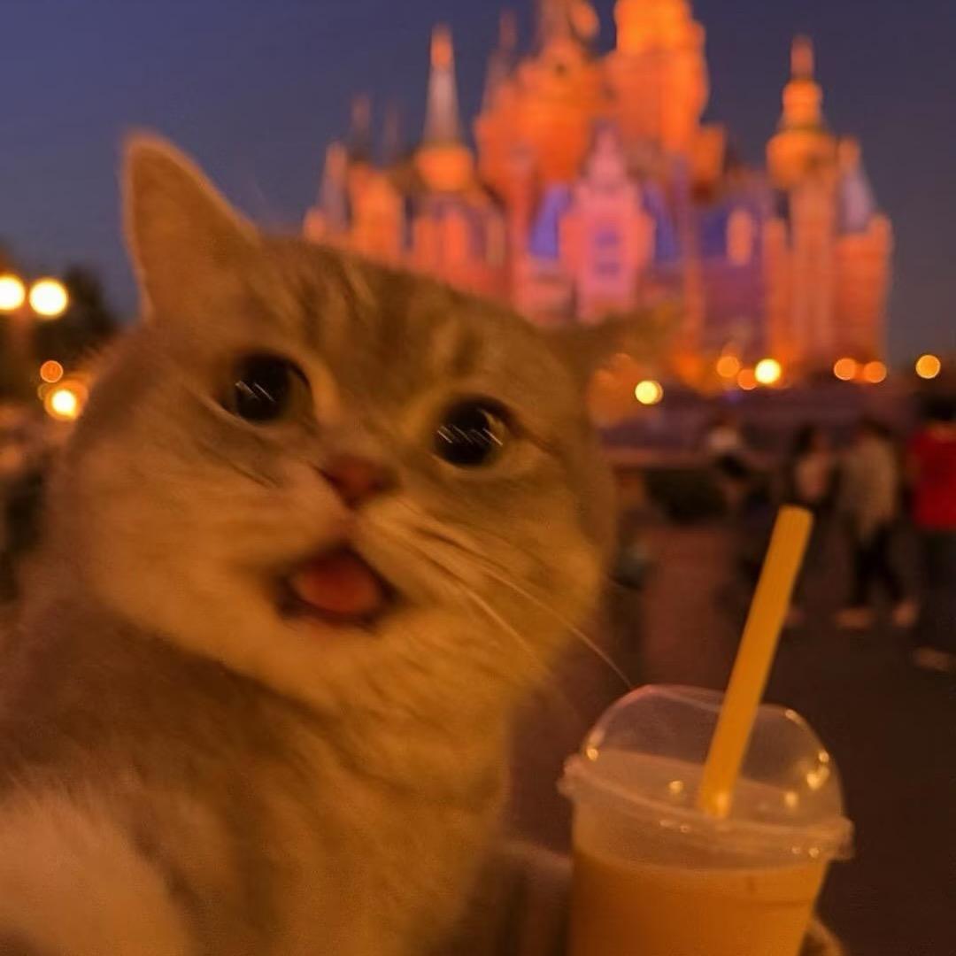 往后不熬夜.