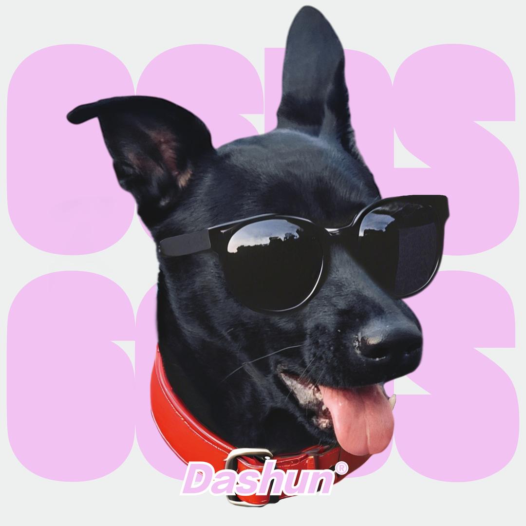 大顺是个小女孩