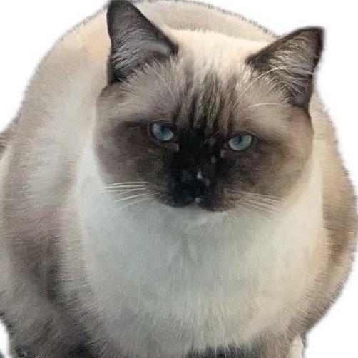 桃子⁵¹⁰⁷⁴