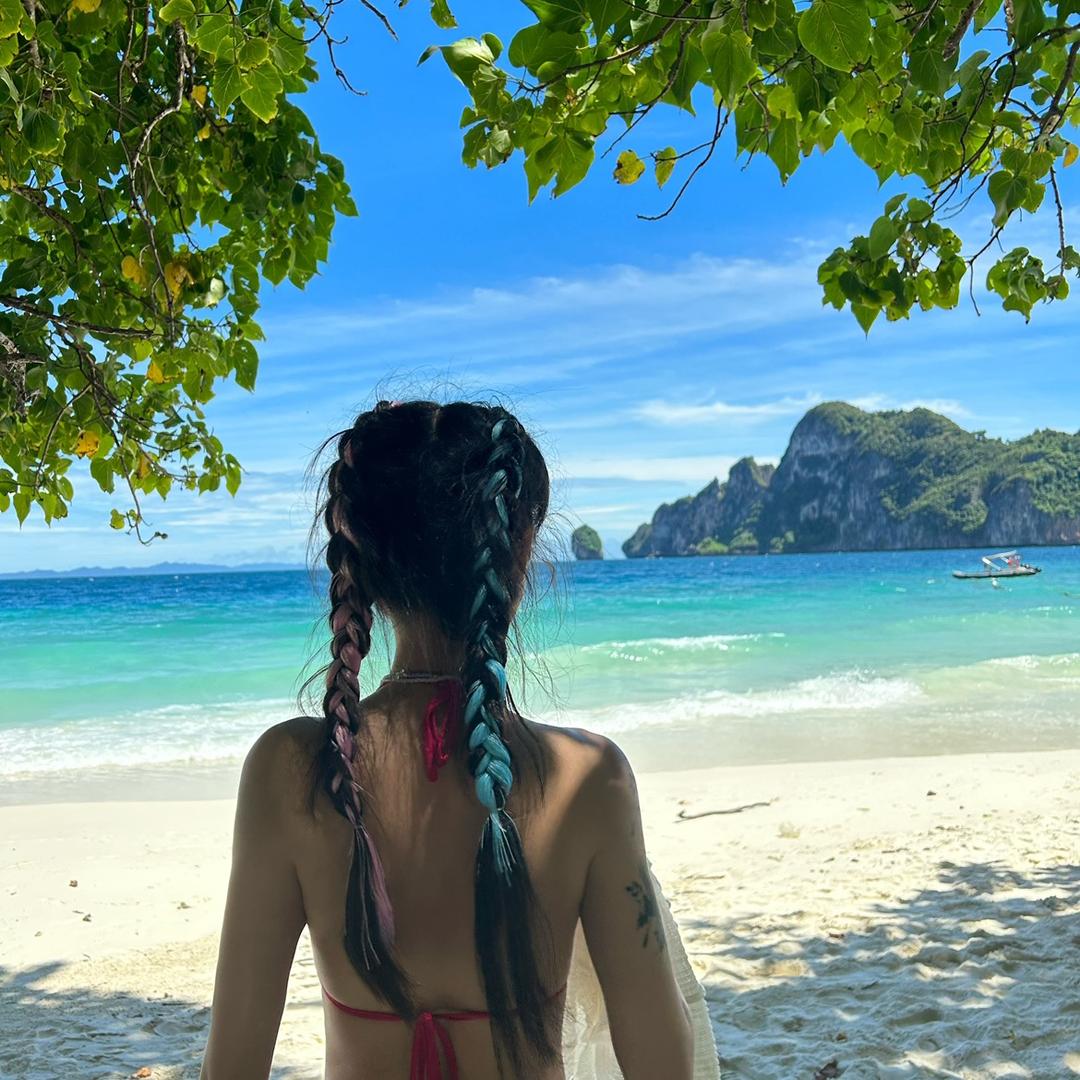 红色的青椒🌶️